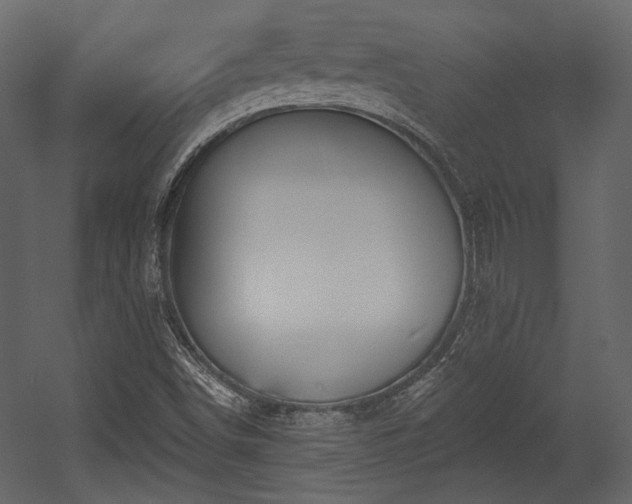 X0000054381498200508011240