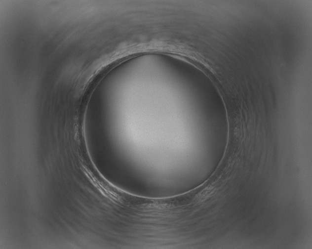 X0000054381499200508011240