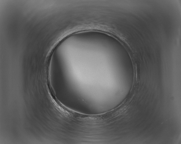 X0000054381500200508011240