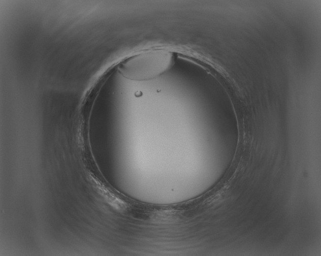 X0000054381502200508011240