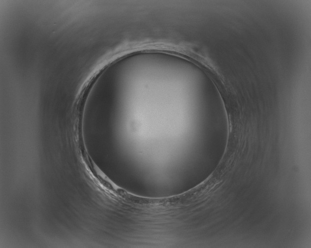 X0000054381504200508011240