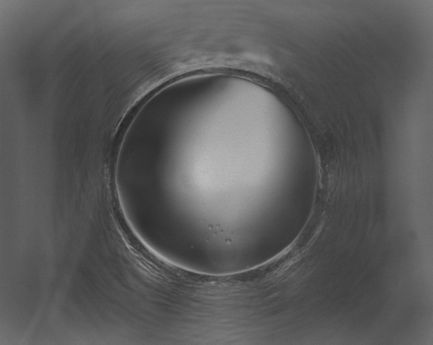 X0000054381505200508011240