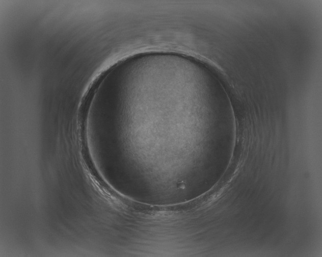 X0000054381506200508011240