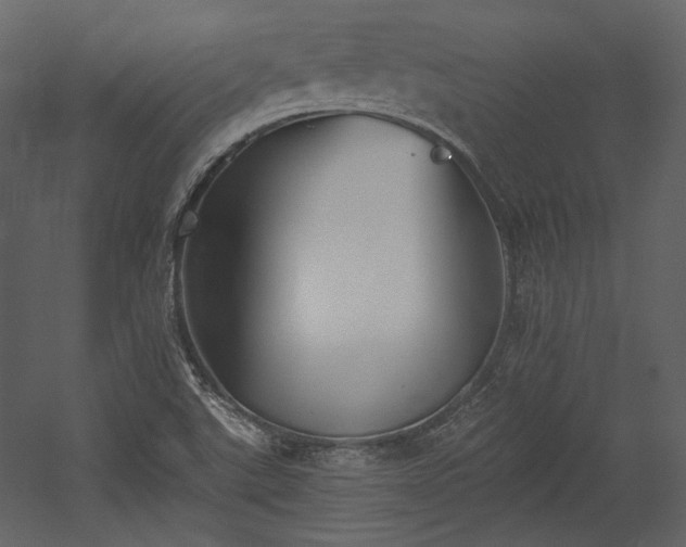 X0000054381507200508011240