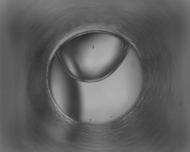 X0000054381508200508011240