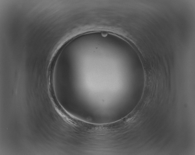 X0000054381511200508011240