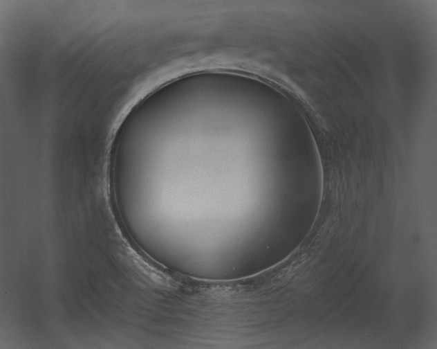X0000054381512200508011240