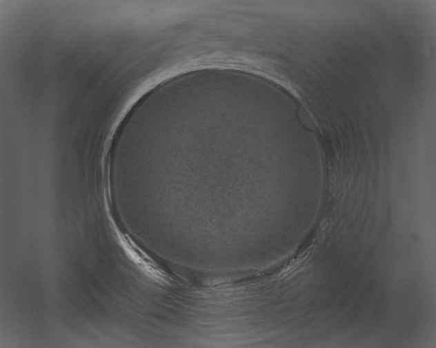 X0000054381515200508011240