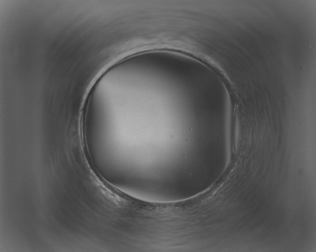 X0000054381516200508011240