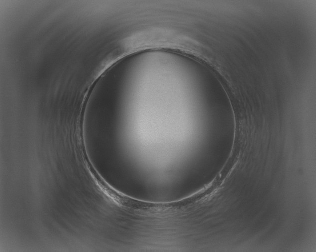 X0000054381521200508011240