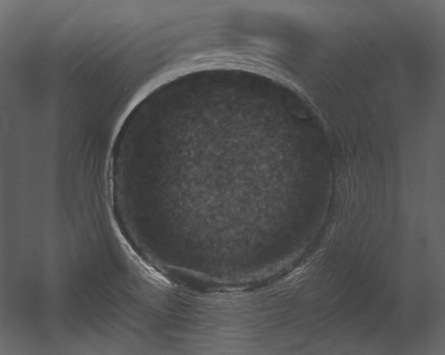 X0000054381522200508011240