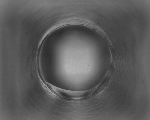 X0000054381530200508011240