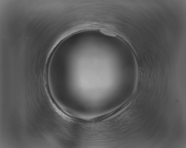 X0000054381531200508011240