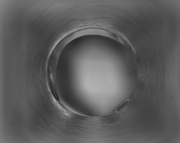 X0000054381532200508011240