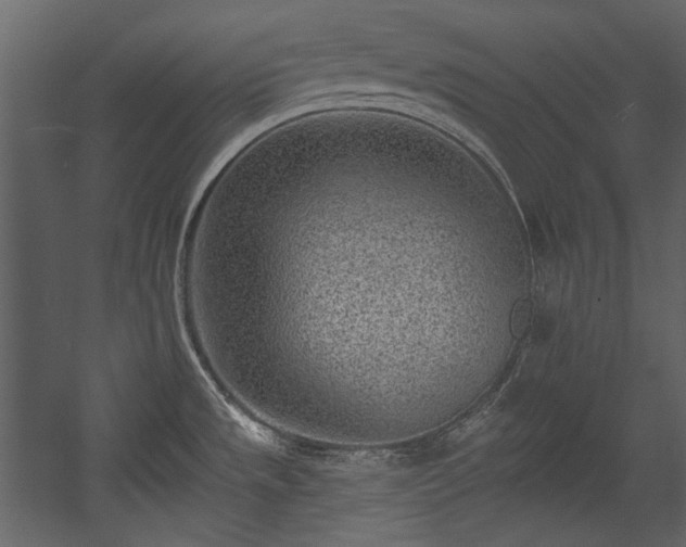X0000054381533200508011240