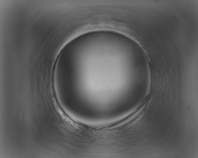 X0000054381534200508011240