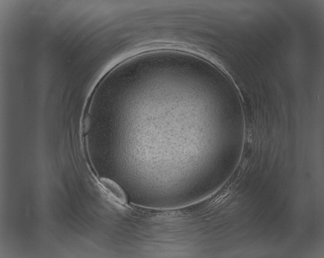 X0000054381535200508011240