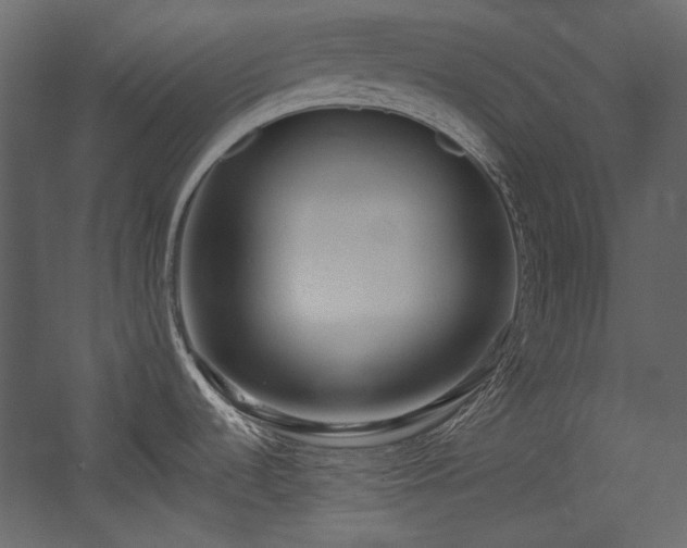 X0000054381536200508011240