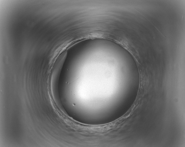 X0000054380001200508051633