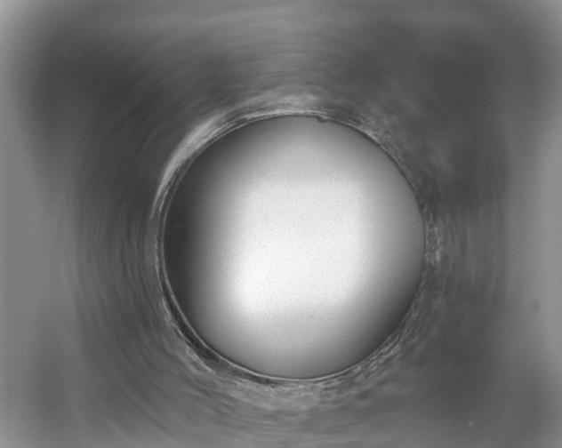 X0000054380004200508051633