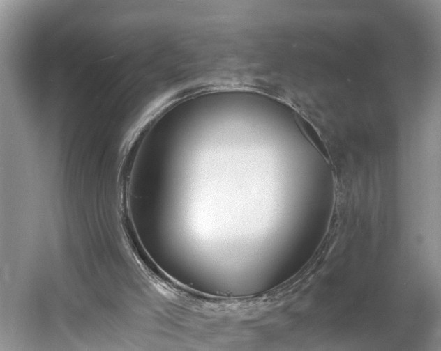 X0000054380005200508051633
