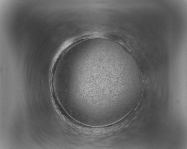X0000054380006200508051633