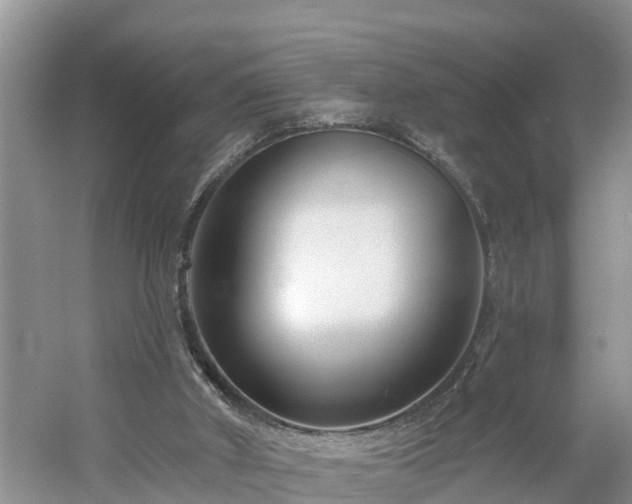 X0000054380010200508051633