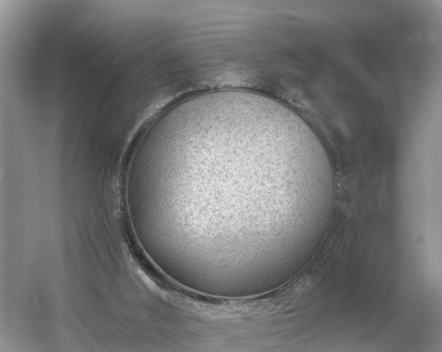 X0000054380012200508051633