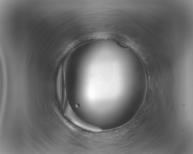 X0000054380013200508051633