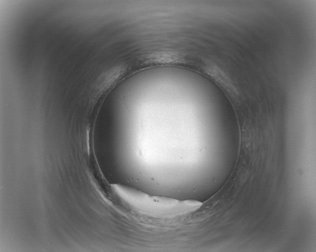 X0000054380014200508051633