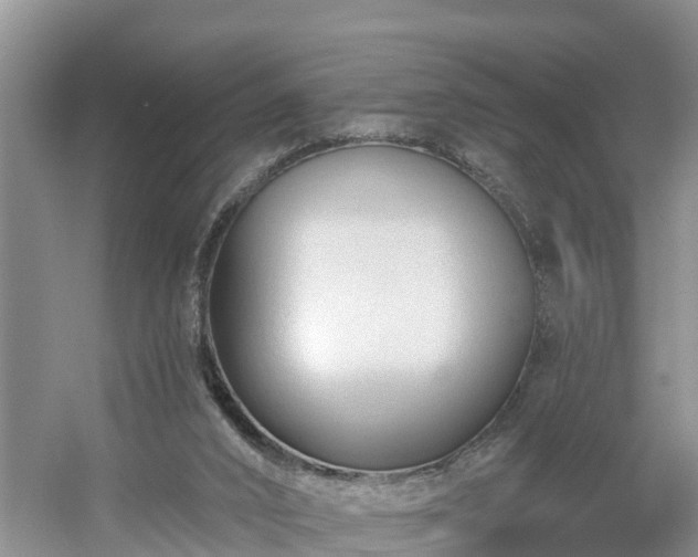 X0000054380016200508051633