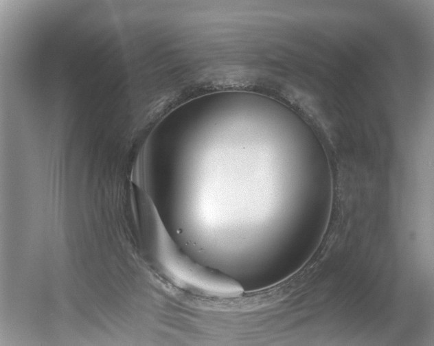 X0000054380017200508051633