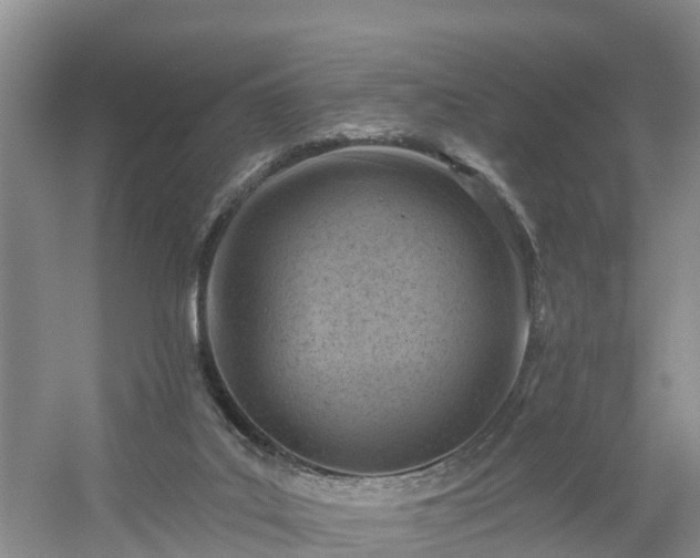X0000054380019200508051633