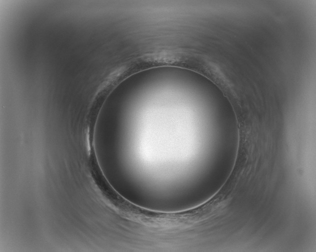 X0000054380020200508051633