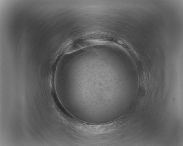 X0000054380023200508051633