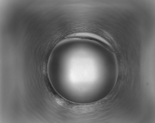 X0000054380025200508051633