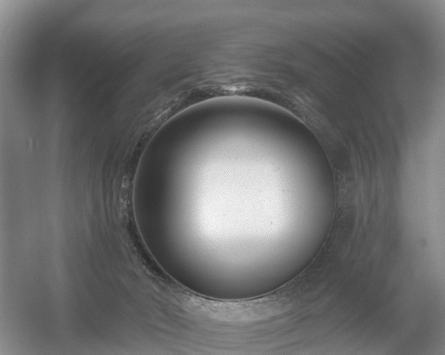 X0000054380030200508051633