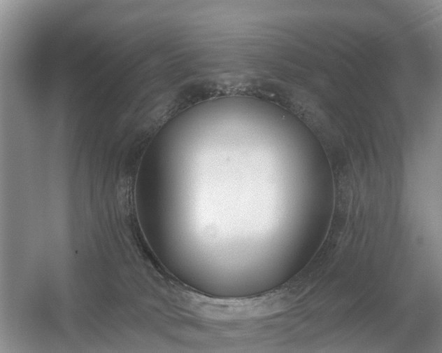 X0000054380034200508051633