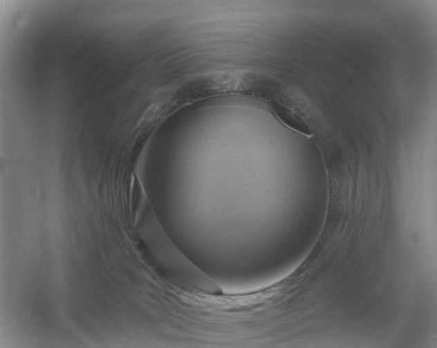 X0000054380035200508051633