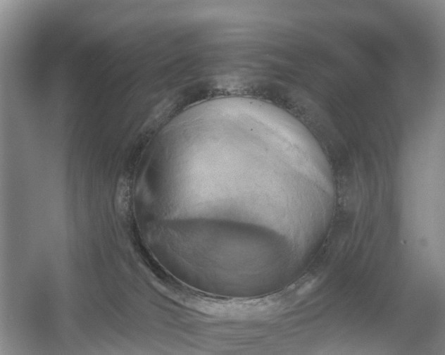 X0000054380036200508051633