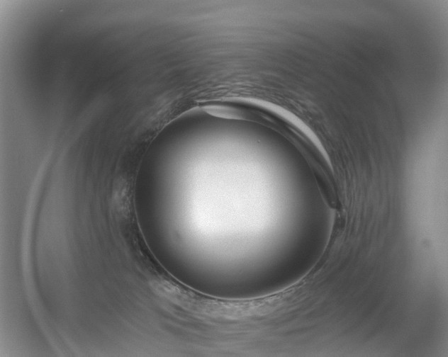 X0000054380037200508051633