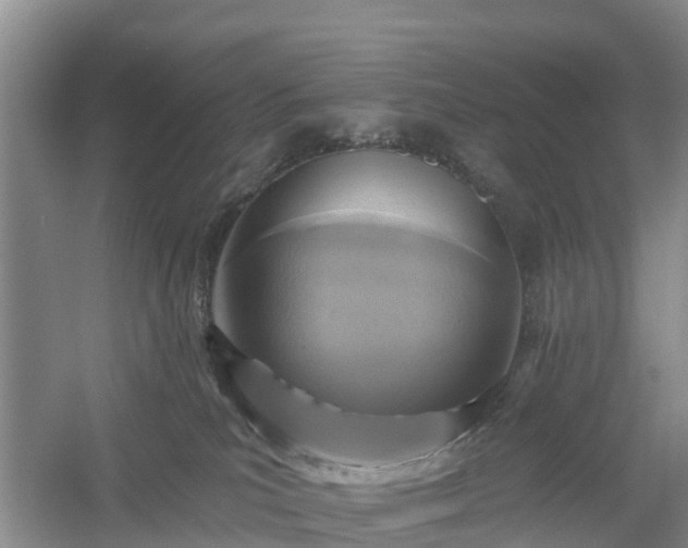 X0000054380039200508051633