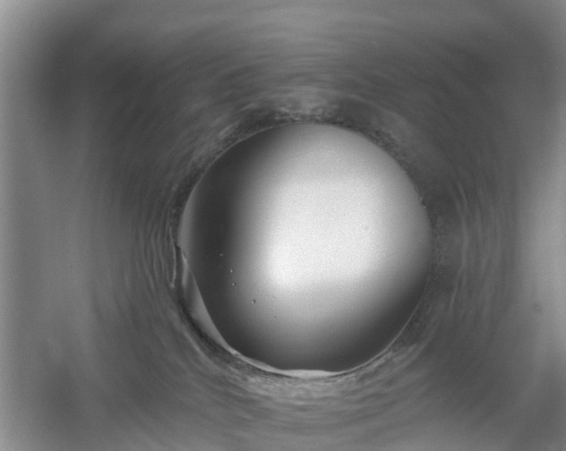 X0000054380040200508051633