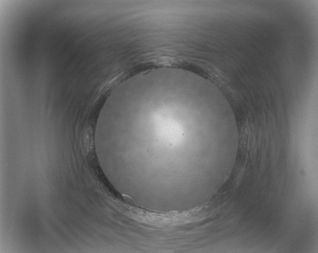 X0000054380043200508051633