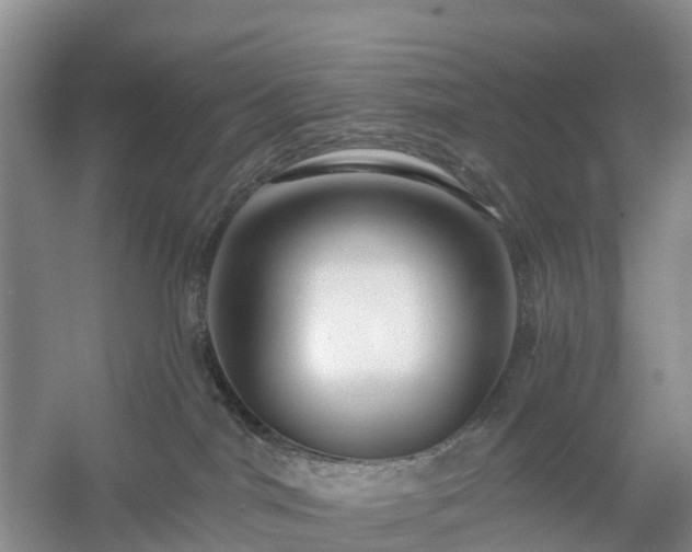 X0000054380044200508051633