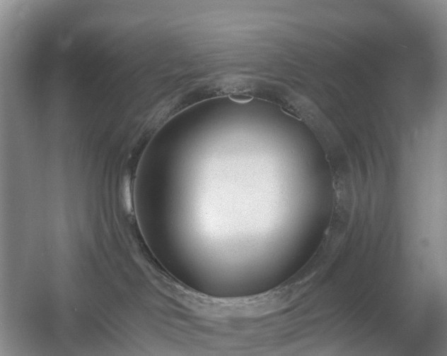 X0000054380046200508051633