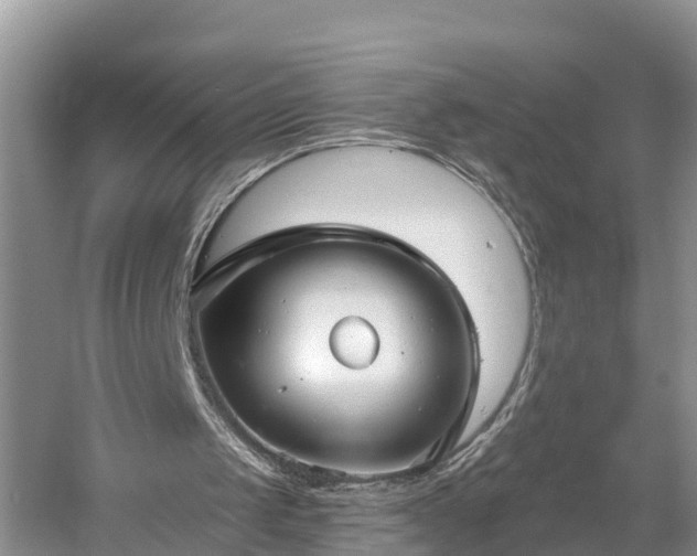 X0000054380049200508051632