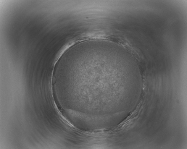 X0000054380052200508051632