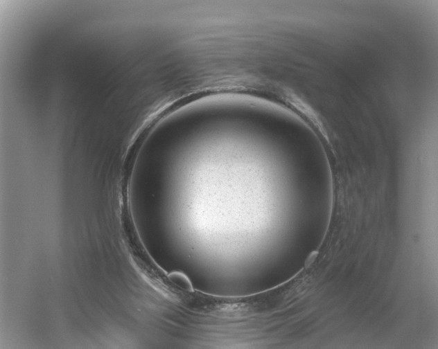 X0000054380059200508051632