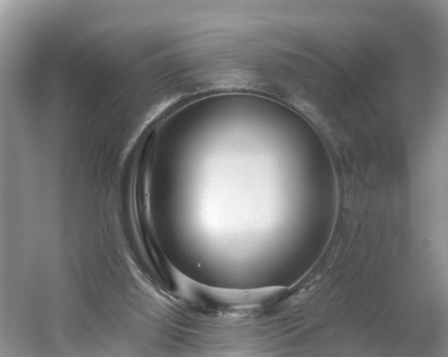 X0000054380060200508051632